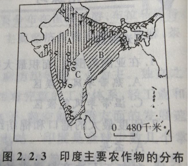 青島成人高考高起點(diǎn)