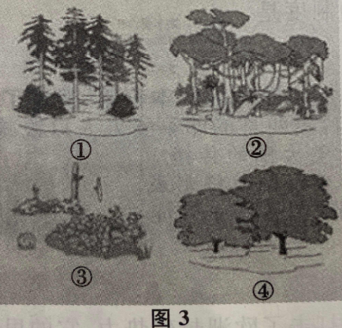青島成人高考高起點