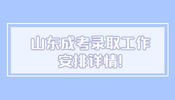 山東成考