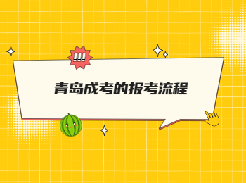 青島成考的報考流程