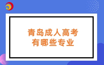 青島成人高考有哪些專業